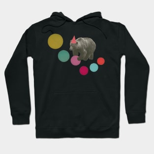 Birthday Bear Hoodie